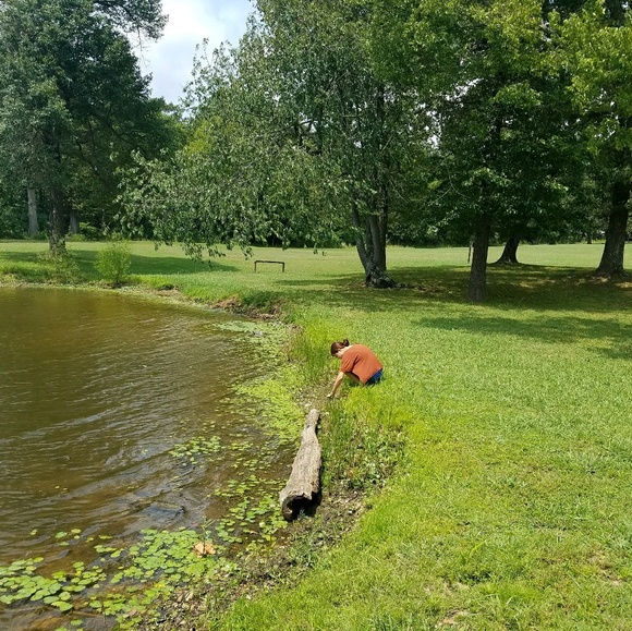 Meet your Posher, Ana - Picture 1 of 1